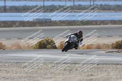 media/Nov-16-2025-Race Pace (Sun) [[8c5fa54630]]/Verified Riders/3-Turn 14 (1045am)/